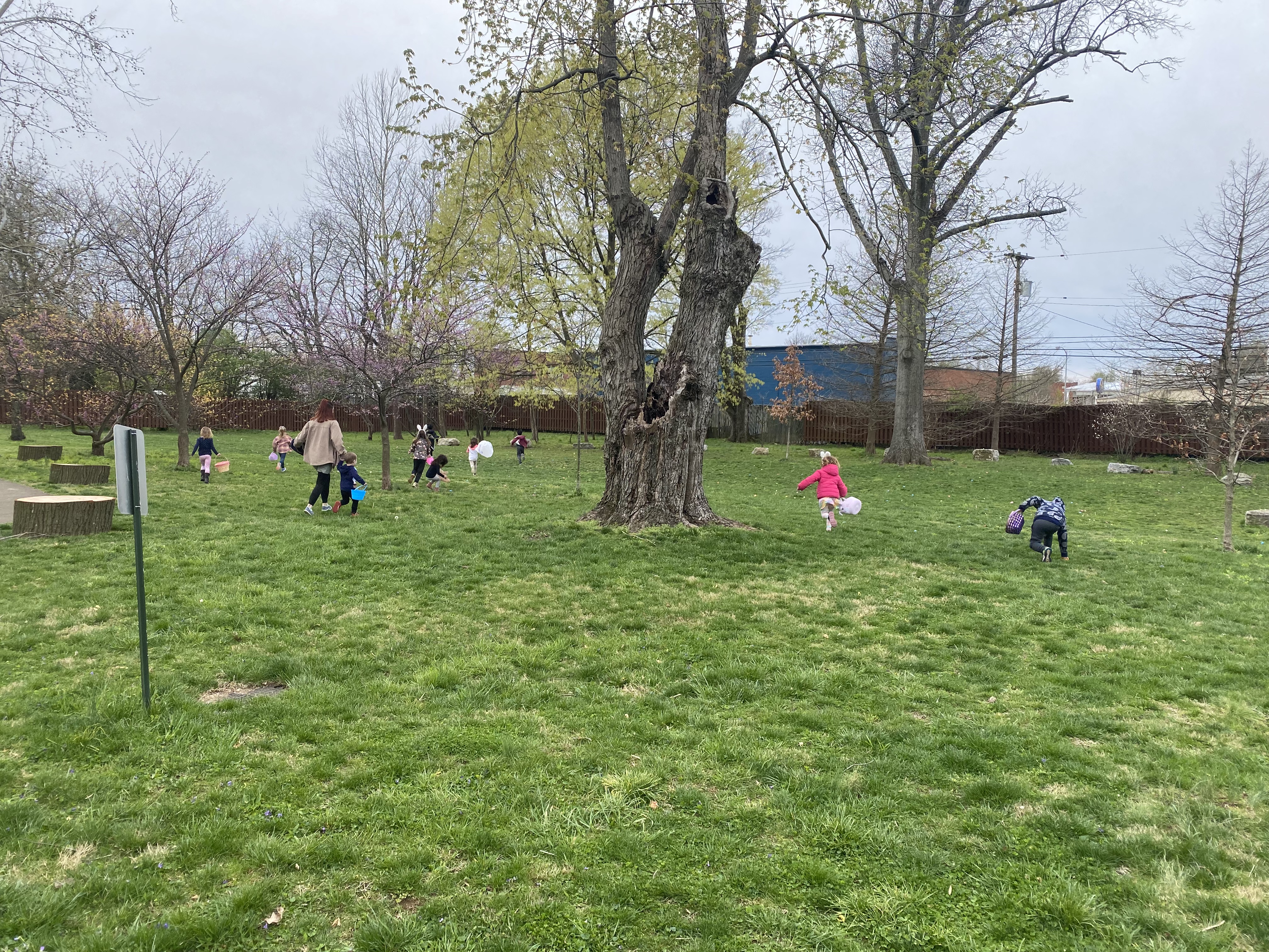 Children hunting Easter eggs